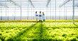 © ihorvsn - Group of researchers with wireless laptop and clipboard walking through professional ecological greenhouse and analyzing plants. Farm workers inspecting greenery during harvesting season.