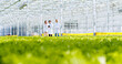© ihorvsn - Team of scientists studying freshness of plants at industrial hydroponic greenhouse. Two female and one male researcher in lab coats walking along greenery organic farm with tablet in hands.