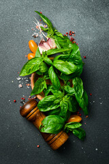 Wall Mural - Pepper mill, basil and spices. Cooking background. Aromatic herbs. Top view.