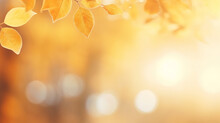 Beautiful Blurred Gentle Natural Light Autumn Background.