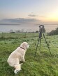 Faithful golden retriever dog companion with photographer enjoying the landscape sunrise view with mist in the valley 
