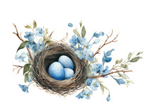 Watercolor Composition  A Bird Nest With Blue Eggs