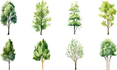 tree nature watercolor on a white background. Generative AI.