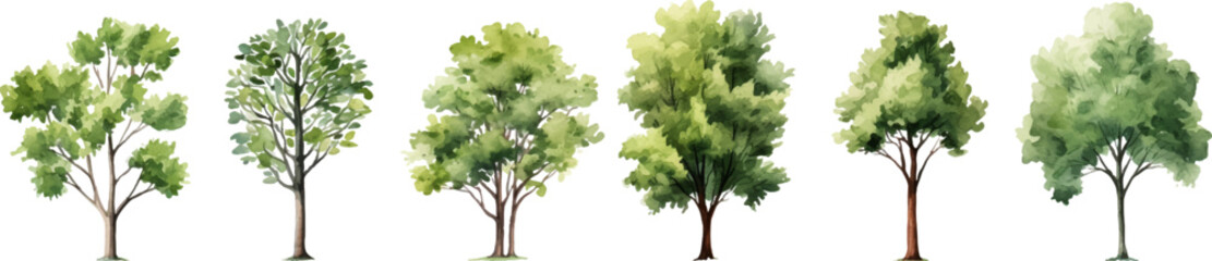 tree nature watercolor on a white background. Generative AI.