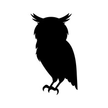 Owl Silhouette Black White Vector Illustration