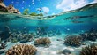 Submerged world Pictures for selfleveling 3d floor Corals Beat see Ocean Stingray