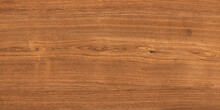 Wood Oak Tree Close Up Texture Background