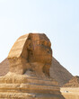 Sphinx in the Pyramids of Giza, including Cheops, Chephren and Mykerinos. Side shot of the Great Sphinx of Giza is an imposing sculpture with a human head and a lion's body. In the background, among t