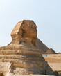 Sphinx in the Pyramids of Giza, including Cheops, Chephren and Mykerinos. Side shot of the Great Sphinx of Giza is an imposing sculpture with a human head and a lion's body. In the background, among t