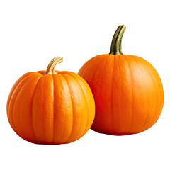 Wall Mural - Two orange pumpkins. Recipe, cooking, Halloween, diet concept. Closeup, copy space, square format