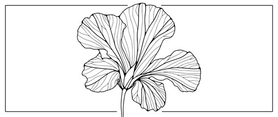 Canvas Print - Black outline of a large flower on a white background. A plant for coloring, creating various designs, patterns, covers, cards and presentations.