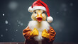 Funny Duck in Santa Clause suit