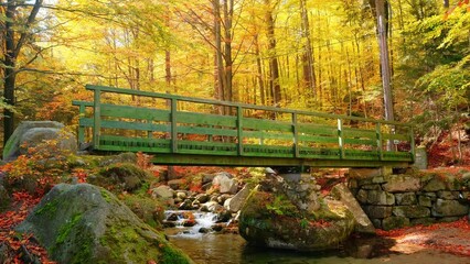 Wall Mural - Autumn landscape cascades of a mountain forest stream and old wooden bridge, stock video 4k