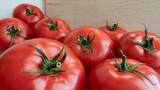 Fototapeta Fototapety do kuchni - Pomidory Malinowe