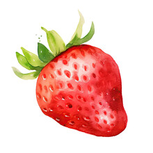 Watercolor Clipart Fruit Strawberry Isolated On White