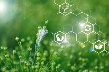 Wall Mural - plants background with chemistry structure image