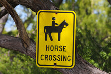 A Yellow Shaped Quarter Horse Crossing Sign With A Horse And Rider Symbol