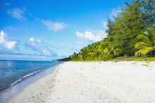 Sandy Beach And Lush Vegetation Along The Coastline; Nauru