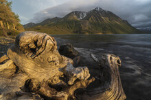 Old Log On The Shores Of Kathleen Lake Being Lit By The Warm Light Of The Setting Sun, Kluane National Park; Yukon, Canada