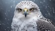an image of a gyrfalcon with its pristine white feathers