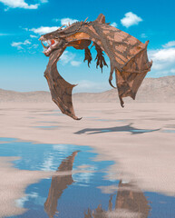 Wall Mural - dragon is hunting down on the desert after rain