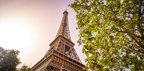 Wall Mural - Beautiful view at the Eiffel Tower in Paris surrounded by nature - travel photography in Paris France