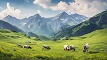 An Image Of A Peaceful Mountain Pasture With Grazing Cattle And Wildflowers