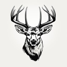 Deer Head Hunting, Vintage Monochrome, Logo, Hunting, Cartoon, Comic Style, T - Shirt Design, Whit Background,Generative AI	
