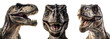 © Sandra Chia - Tyrannosaurus Rex T-rex dinosaur, many angles Front view portrait head shot isolated on transparent background cutout , PNG file
