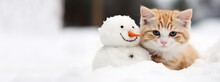 Cute Cat Is Cuddling With A Snowman Isolated On Snowy Background With Copy Space, Christmas Celebration Banner.