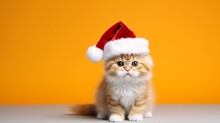 Cute Cat Wearing Santa's Hat Isolated On Orange Background With Copy Space, Christmas Celebration Banner.
