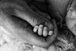 © Vad-Len - Close-up of a small hand of a child and the hand of mother and father.
