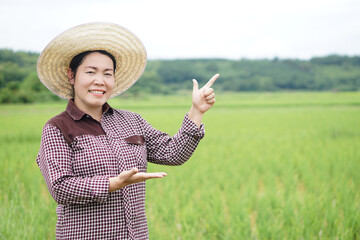 Wall Mural - Asian woman farmer is at paddy filed, wears hat, point finger up , make hands gesture to present something.  Concept, agriculture occupation. Thai farmer lifestyle. Visit and take care of crops  