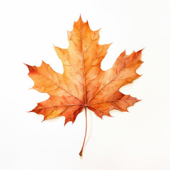 Poster - Fall Leaf Watercolor Illustration on a White Background