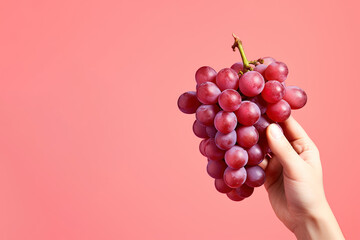 Wall Mural - Hand holding a bunch of red grapes isolated on a red background with copy space