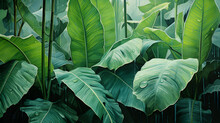 Banana Leaf With Water Drops After Rain, Watercolor Illustration Of Green Banana Leaves