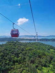 Wall Mural - Cable car passing over the forest