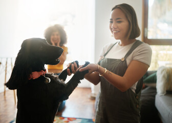 Poster - Happy, dance and woman with dog in home, living room and teaching or learning a trick in development or growth in apartment. Training, pet and people in house with cocker spaniel, animal or bonding