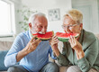 senior woman man couple love elderly watermelon fruit eating food fun togetherness summer cheerful happy smiling together enjoyment healthy eating fresh sharing