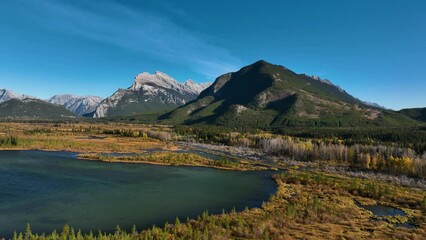 Wall Mural - drone view of a forest, rivers and mountains in the rocky mountains. landscape from the air. video f
