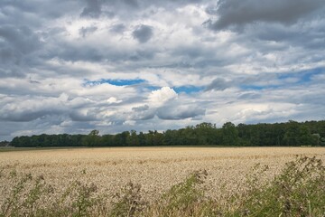 Wall Mural - Schleswig Holstein Natur Landschaft