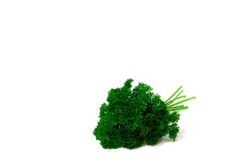 The vivid green color of the parsley stands out beautifully against the clean white backdrop