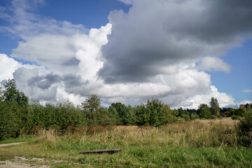 Wall Mural - white rain clouds over countryside in summer