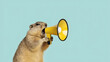 Woodchuck announcing using hand speaker. Notifying, warning, announcer