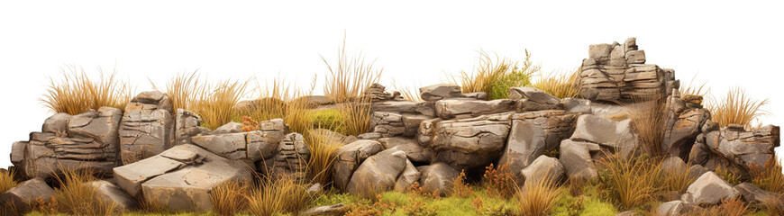 Savanna with faded grass and rocks, cut out