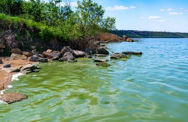 Wall Mural - Eutrophication of the Khadzhibey estuary, blooms in the water of the blue-green algae Microcystis aeruginosa