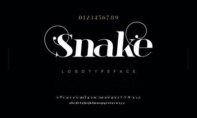 Poster - Snake Abstract minimal modern alphabet fonts. Typography technology vector illustration