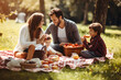 family is having a picnic on a blanket in the park. They are surrounded by greenery and bathed in sunlight. The individuals are focused on each other and the food