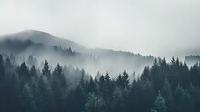 Forested Mountain Slope In Low Lying Cloud With The Conifers Shrouded In Mist In A Scenic Landscape