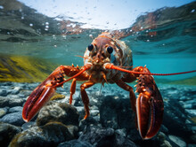 Lobster In Its Natural Habitat, Wildlife Photography, Generative AI